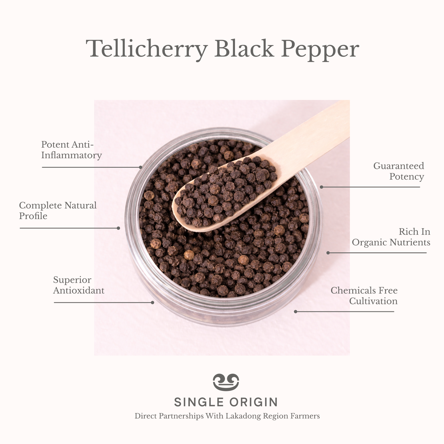Tellicherry Black Pepper
