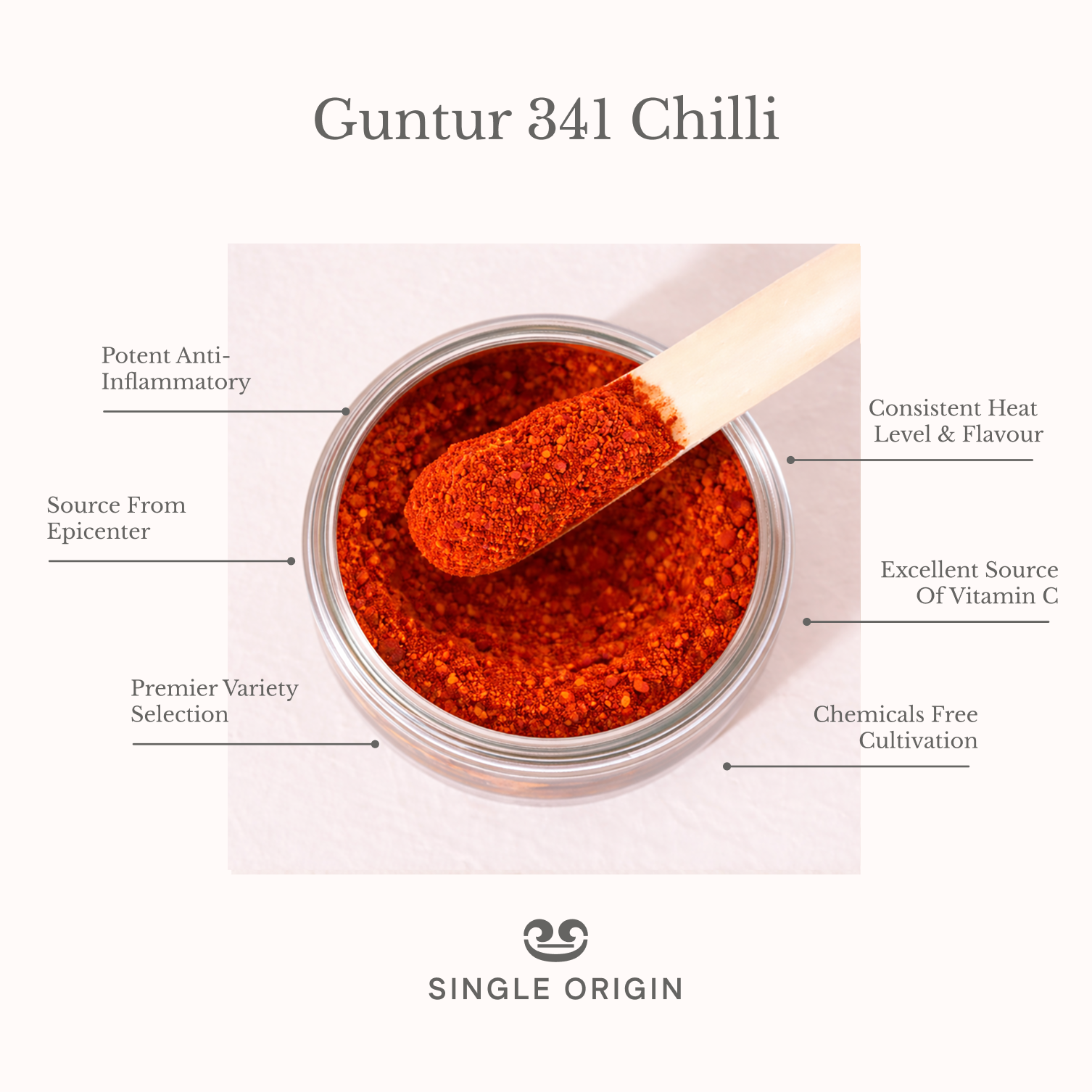 Guntur Chilli