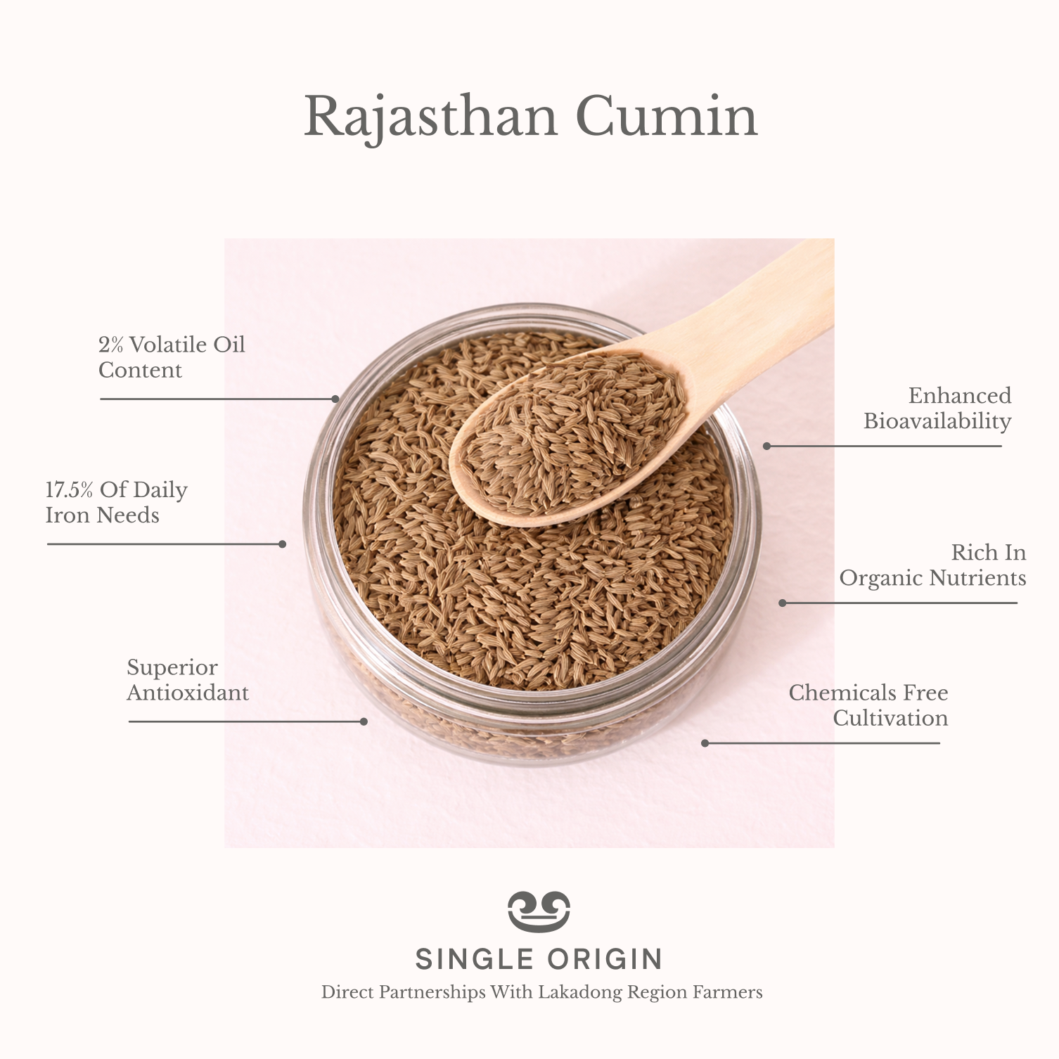 Rajasthan Cumin